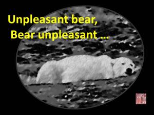 Bear unpleasant_unpleasant bear (Final)